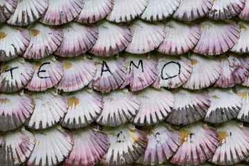 Conchas de vieira de la Ermita de las conchas