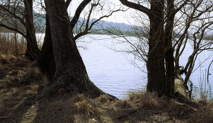 "Lake landscape in spring. Lake seen through trees. Revine Lakes, Italy."
