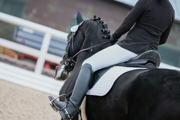The rider's leg is a close-up of a dressage competition. Black Horse - obrazy, fototapety, plakaty