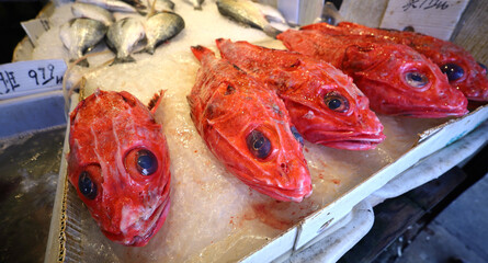 Obraz na płótnie Canvas Fish on sale at Chinese fishmonger's
