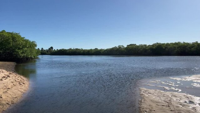 A beautiful river meets the sea with calm waters winding through mangrove forests along its banks. River and sea in harmonious nature scene in summer day.