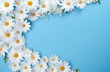 daisy frame with white flowers on a blue background,