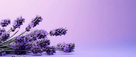 Keuken spatwand met foto flowers on lavender background, © olegganko