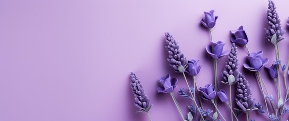 flowers on lavender background, - obrazy, fototapety, plakaty