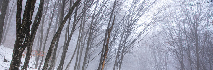 beautiful winter landscape in the forest,Armenia