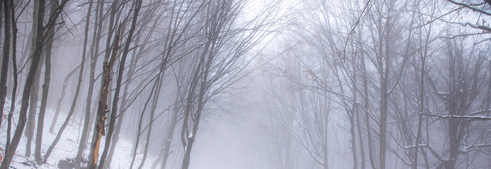 beautiful winter landscape in the forest,Armenia