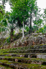 Coba Maya Ruins ancient buildings pyramids in tropical jungle Mexico.