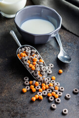 Sweet breakfast cereals in scoop on kitchen table.