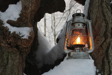 kerosene lantern shines near a fantasy scary tree in winter