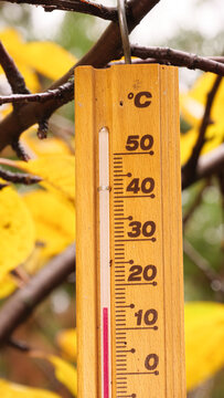 Isolated Thermometer making 15 degrees celsius cold weather temperature in Autumn season in Earth. Yellow tree leaves and green brown Nature forest background. Global climate change.