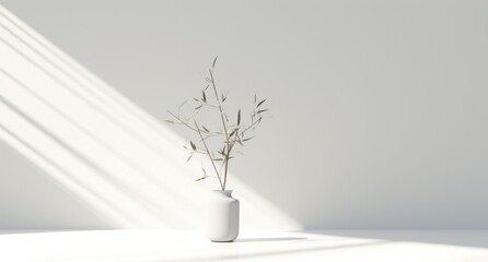 plant on white background,