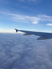 Airplanes wing through the window during flight