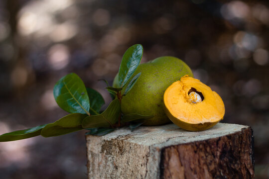 L&uacute;cuma, fruto de los andes,delicioso,dieta,comida saludable