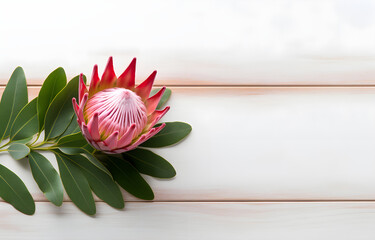 protea flower in glass vase on white wooden table