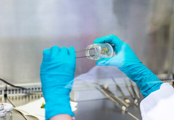 plant Tissue Culture for Agricultural Research