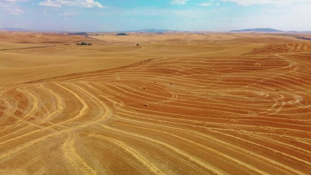 USA, Idaho, Genesse. Palouse. Wheat fields in the Palouse hills