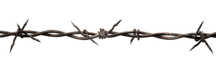 Close-up of barbed wire, cut out - stock png.	