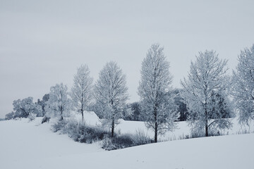 Fototapeta na wymiar Winter of rural Toten, Norway.