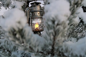  winter kerosene lantern shines in the branches of a pine tree.