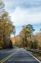 Fototapeta premium country road in autumn