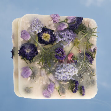 frozen purple flowers in ice block placed on mirror with sky