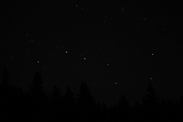 Stars at the night sky in Canada - obrazy, fototapety, plakaty