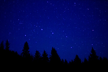 Stars at the sky in British Columbia