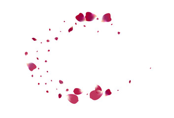 Fototapeta na wymiar Pink Cherry Flying Vector White Background. Blur