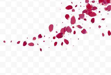 Purple Peach Falling Vector Transparent