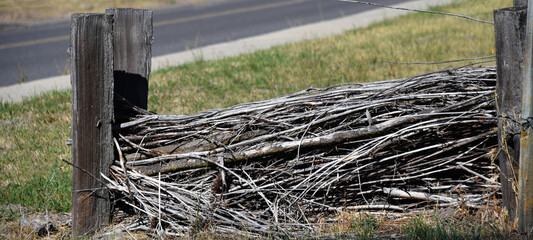 Fence of Limbs is Unique
