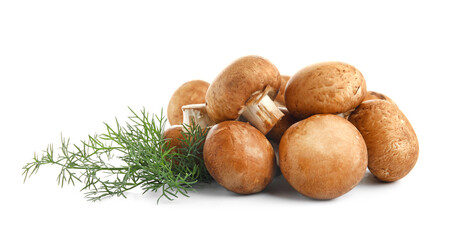 Set of raw champignon mushrooms with dill on white background