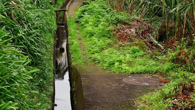 a levada water channel on madeira island video