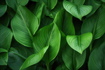 Harmonious tropical green leaf background. Balanced symmetry, soothing colors, nature's peaceful embrace