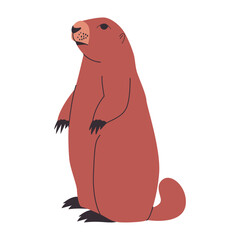 brown color olympic marmot or prairie dog standing pose wild nature rodent and mammal animal