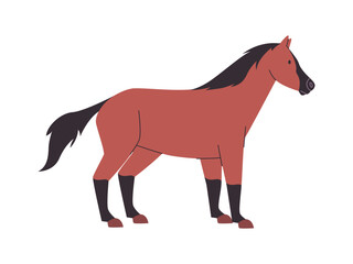 brown and black color horse mare or stallion wild nature mammal animal have tail and power fast run