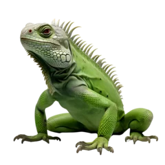 Foto op Canvas Green iguana isolated on transparent background Generative AI © Adnan