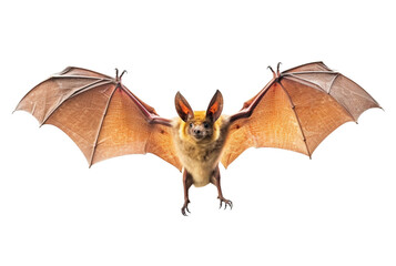 Fototapeta premium flying bat isolated on transparent background. generative ai