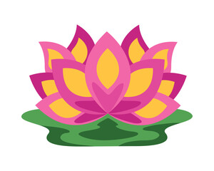pink lotus flower
