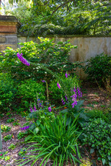 The Botanical Gardens of Sydney Australia