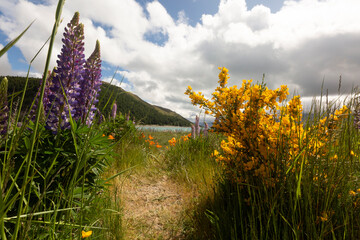 Fototapete bei efototapeten.de bestellen   