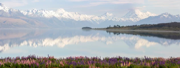 Crédence de cuisine en verre imprimé Réflexion Panorama of lake Pukaki , snowy mountains reflecting in the water with a foreground of lupines