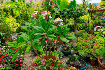 Garden for growing ornamental plants. Background with selective focus and copy space