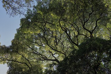 Obraz premium 晩秋の浜離宮恩賜庭園