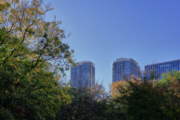 晩秋の浜離宮恩賜庭園
