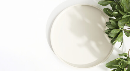 Top view of cream beige plate tray on white table counter, green tropical tree in sunlight, leaf shadow for luxury cosmetic, skincare, beauty, body care, fashion product display background 3D