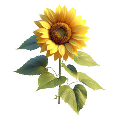 sunflower plant isolated on transparent background