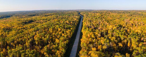 Aerial view of a very brightly colored autumn forest with a two-lane paved road. The sky is light blue as the result of thin clouds.  The trees are shades of yellow, orange and lime green.
