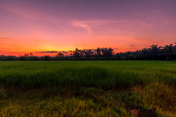 Abstract background of celestial stars, blurred wallpaper of the Milky Way at night, is a natural beauty. Seen during the time of the season