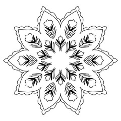 floral  mandala icon
