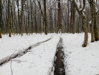 A snow-covered forest road with traces of vehicles driving on it. Forest winter backgrounds and...